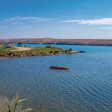 Pet Friendly In Dinjiška