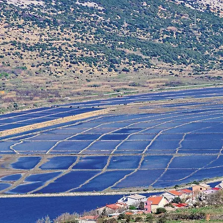 Pet Friendly In Appartement Dinjiška