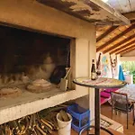 Pet Friendly In
